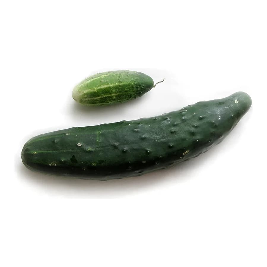 Cucumbers