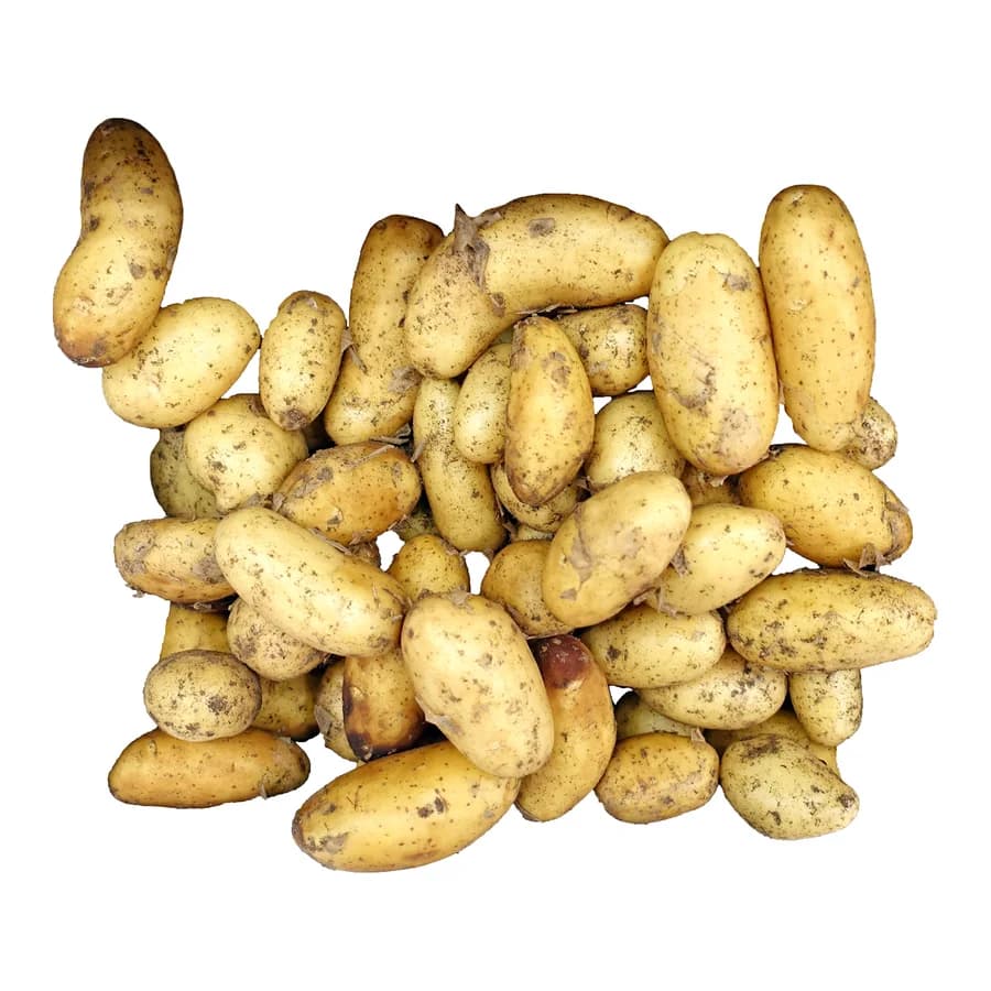 Potatoes