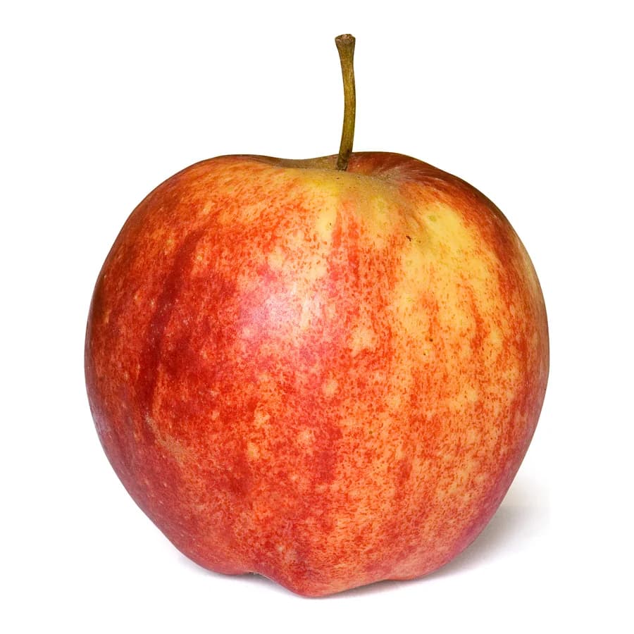 Royal Gala Apples